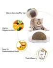 Naturalna kocimiętka zabawki dla kotów szalone zdrowe zabawki dla kotów dla kotów jadalne leczenie czyszczenie zębów artykuły dl