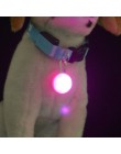 1 sztuk LED latarka obroża dla psa lub kota świecący wisiorek bezpieczeństwo w nocy smycz dla zwierzęcia domowego naszyjnik Lumi