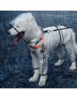HOOPET kurtka przeciwdeszczowa dla zwierząt Puppy cztery stopy z kapturem przezroczysty wodoodporny Teddy duży pies deszcz ubran