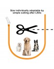 Ledowa obroża dla psa Light USB akumulator świecące obroże dla psów świecący zwierzak Flash nocne obroże do ładowania dla małych