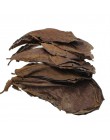 10 sztuk wysokiej jakości naturalne liście Terminalia Catappa, Indian almond Lour drzewo liść oliwny na woda akwariowa do równow