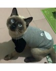 Kot kreskówkowy kostium śliczne przytulne ubrania dla kotów Katten Kedi bluza z kapturem Mascotas Gato bluza kot sweter ubrania 