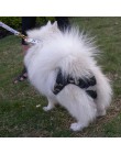 XS-XXL pies spodnie fizjologiczne pieluchy zmywalne kobiece szorty dla psa majtki menstruacja bielizna sanitarna figi dla psa