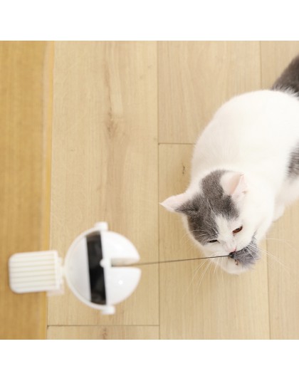 Elektroniczny ruch zabawka dla kota elektryczny trzepotliwy obrotowy interaktywny Puzzle inteligentny kot domowy zabawkowa piłka