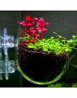 Nicrew akwarium dekoracja do akwarium Mini doniczka z kryształowego szkła Polka woda doniczkowa sadzenie kubek cylindryczny akce