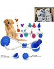 Interaktywna zabawa zabawka dla zwierząt z przyssawką pies push zabawka z TPR piłka Pet czyszczenie zębów, żucia, gry, IQ piłka 
