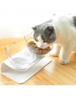 Karmnik dla zwierząt antypoślizgowe miski dla kotów podwójne miski z podniesiony stojak zwierzęta domowe są podajnik żywności dl