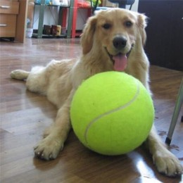24CM gigantyczna piłka tenisowa dla gryzak dla psa zabawka duża nadmuchiwana piłka tenisowa Pet Dog zabawki interaktywne artykuł