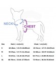 Artykuły dla psów zwierzęta smycz dla psów obroże wysokiej jakości kamizelka szelki dla psów produkty dla zwierzaka domowego har