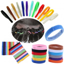 12 kolorów identyfikacja ID obroże zespoły Whelp Puppy Kitten Dog kot domowy Velvet praktyczne Puppy ID Collar Dropship