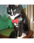 Eleganckie szelki dla psa i kota kamizelka ze smyczą Bowtie regulowany garnitur Tuxedo śliczne Bowknot Cat zestaw smycz i uprząż