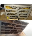 10g/50g Messor structor Harvester Ant żywności mieszane ziarna zbóż farma mrówek gniazdo mrówek warsztat Pet mrowisko Ant akceso