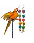 Traumdeutung zabawki dla papug dla ptaki akcesoria dostawy Cockatiel okoń zabawka ozdoba do klatki dla papug jouet perruche