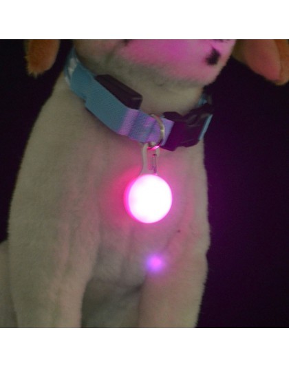 1 sztuk Pet Dog Cat LED wisiorek do obroży świecące dla bezpieczeństwa w nocy 5 kolor świecąca obroża wisiorek do obroży dla Pet