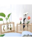 Szklany i drewniany wazon sadzarka Terrarium stół do komputera hydroponika drzewko Bonsai doniczka wiszące doniczki z drewnianą 