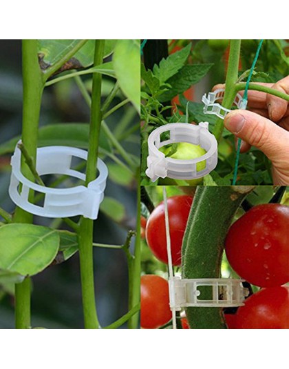 50/100pcs wielokrotnego użytku 25mm plastikowe klipsy wspierające rośliny zaciski dla roślin girlanda Garden szklarnia warzywa p
