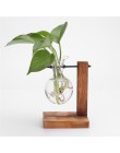 Szklany i drewniany wazon sadzarka Terrarium stół do komputera hydroponika drzewko Bonsai doniczka wiszące doniczki z drewnianą 