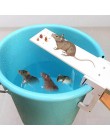 Diy do przydomowego ogrodu kontroler szkodników pułapka na szczury Quick Kill Seesaw Mouse Catcher Bait Home pułapka na szczury 