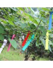 100 sztuk roślin tagi ogród przedszkola etykiety wiszące drzewo markery sadzonki drzew owocowych znaki szybka karty klasyfikacji