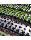5 ~ 50m 5 otworów czarna plastikowa włóknina ogrodnicza rolnicze rośliny warzywne rosną Film szklarnia utrzymuj ciepło anty traw