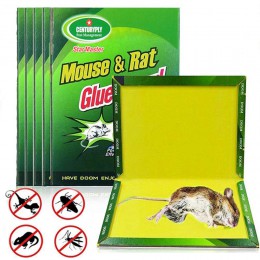 1 sztuk lep na myszy lepkie myszy klej pułapka wysokiej skuteczne gryzoni szczur wąż Bugs Catcher Pest Control odrzucić nietoksy