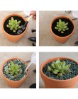 10 sztuk małe Mini donica z terakoty ceramika glina sadzarka kaktus doniczki soczyste doniczki przedszkolne świetne