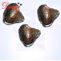 DMKB0033 6-9MM naturalne perły słodkowodne hodowlane koraliki ryżowe pakowane próżniowo ostrygi perła Oyster Pearl Mussel