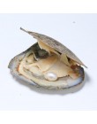 DMKB0033 6-9MM naturalne perły słodkowodne hodowlane koraliki ryżowe pakowane próżniowo ostrygi perła Oyster Pearl Mussel