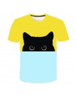 BIAOLUN nowe fajne koszulki mężczyźni/kobiety 3d Tshirt drukuj dwa kot z krótkim rękawem lato topy koszulki T koszula mężczyzna 