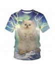 BIAOLUN nowe fajne koszulki mężczyźni/kobiety 3d Tshirt drukuj dwa kot z krótkim rękawem lato topy koszulki T koszula mężczyzna 