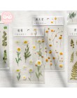 Mr.Paper 12 wzorów Natural Daisy Clover japońskie słowa naklejki przezroczysty materiał PET kwiaty liście rośliny naklejki dekor