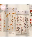 Mr.Paper 12 wzorów Natural Daisy Clover japońskie słowa naklejki przezroczysty materiał PET kwiaty liście rośliny naklejki dekor