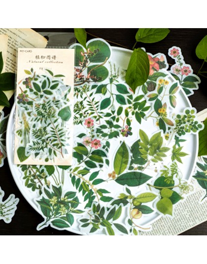 40-60 sztuk Vintage naklejki roślin kwiat jesień naklejki dla Diy Scrapbooking Bullet Journal dekoracje biurowe prezent dla dzie