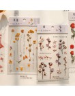1 arkusz Kawaii kwiatek naklejki śliczne samoprzylepne dekoracje naklejki roślin PET naklejki dla dzieci DIY Scrapbooking pamięt