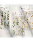 1 arkusz Kawaii kwiatek naklejki śliczne samoprzylepne dekoracje naklejki roślin PET naklejki dla dzieci DIY Scrapbooking pamięt