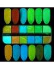 12 kolorów/zestaw fluorescencyjny brokat do paznokci Light Luminous najdrobniejszy świecący Pigment neonowy fosforyzujący w ciem