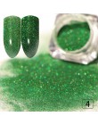 1 Box brokatowy, holograficzny pyłek do paznokci Pigment chrom błyszczące srebro paznokci pył do tipsów zdobienie paznokci dekor