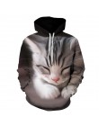 Cartoon kawaii bluzy 3D drukowane Cat oversize męskie bluzy damskie swetry z długim rękawem bluzy z kapturem topy sudaderas