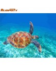RUOPOTY Rama Sea Turtle zrób to sam Malowanie przez numery Kaligrafia Malowanie farbą akrylową według numerów Kit Home Decor Wal