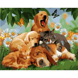 HUACAN obrazy olejne według liczb pies zwierząt zestaw rysunek na płótnie Wall Art ręcznie malowane DIY prezent Home Decor