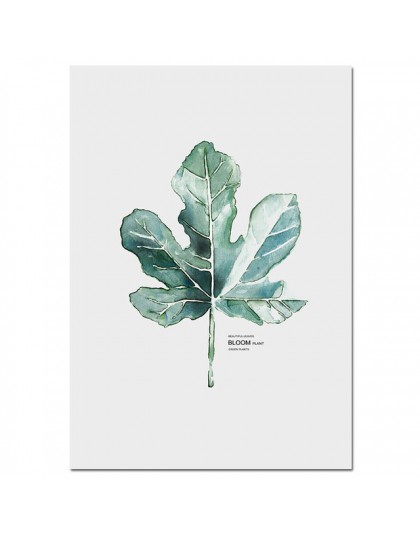 Akwarela rośliny liść plakat na płótnie styl skandynawski drukuj skandynawski ściana artystyczny obraz zdjęcia do dekoracji mini