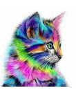 Bezramowe streszczenie kota zwierząt zrób to sam Malowanie numerami Farba akrylowa na płótnie Rysunek farby przez numery Unikaln