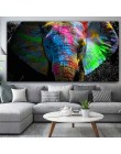 RELIABLI kolorowy obraz słoń plakat ze zwierzętami obraz olejny na płótnie ściany pokój artystyczny obraz do dekoracji dla Hoom 