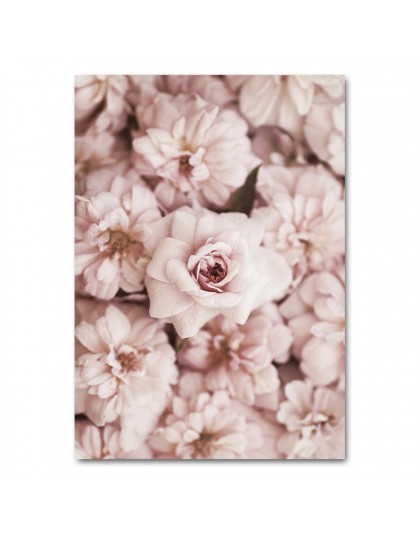 Kwiat róża botaniczny płótno plakat artystyczny styl skandynawski z dekoracyjnym nadrukiem malarstwo ścienne skandynawski obraz 