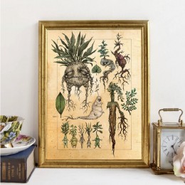 Harry Fan Art Illustration śliczne Mandrake dekoracja roślinna obraz na płótnie obraz na ścianie, klasyczny film plakat wystrój 
