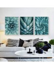 Obraz na płótnie salon cuadros decoracion plakat skandynawski zielony Aloe sukulenty nowoczesne minimalistyczne zdjęcia modułowe