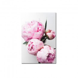 Obraz na płótnie dekoracja w stylu skandynawskim elegancka piwonia kwiat fraza plakat i druk obraz ścienny do salonu dekoracji w