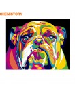 CHENISTORY Dog ręcznie malowany obrazek według numerów obraz ze zwierzętami kaligrafia farba akrylowa według numerów do dekoracj