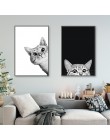 Wydruki na płótnie malarstwo styl skandynawski piękne czarne białe koty plakaty Wall Art zwierzęta modułowe obrazy do salonu Hom