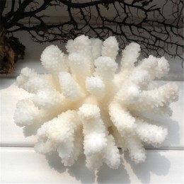 12-14cm 100% naturalny koral morze biały koral drzewo biały koral akwarium krajobrazu ozdobne wyposażenie domu dekoracji wnętrz
